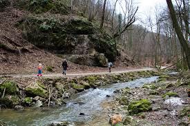 A bakony egy igazán magyaros középhegységünk. Paradicsom A Bakony Sziveben A Civilizaciot Elhagyva Csodalatos Vilag Tarul Elenk Szmo Hu