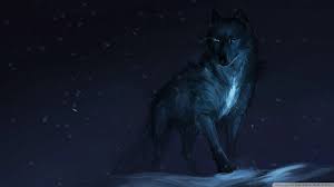 Wolf wallpaper 4k for laptop. Pin Oleh Kingofthemoon Di Pc