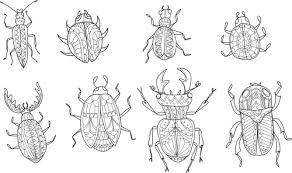 Advanced Insect Coloring Page Kidspressmagazine Com Insect Coloring Pages Bee Coloring Pages Coloring Pages