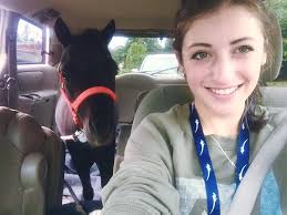 Muffin the Miniature Therapy Horse