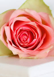 Margaret Link Grosse (Peggy)