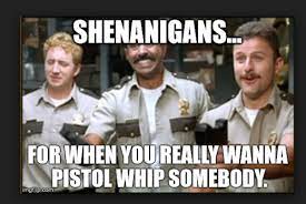 Super troopers :).back in the day an officer surprised some people i know while they were taking a smoke break in a vw bus in a remote area. 20 Super Troopers Memes Everyone S Sharing Sayingimages Com