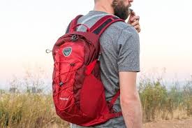 There is a pack of six individually wrapped ice cones in the freezer. The 5 Best Hydration Packs For Day Hikers Reviews By Wirecutter