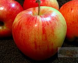 Here all the recipes are written in tamil and in easy understandable manner. Apple Recipes Recipes With Apple Simple Indian Recipes