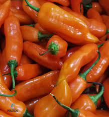 Aji Amarillo Peruano