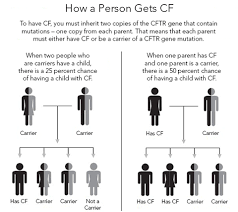 Cf Genetics The Basics Cf Foundation