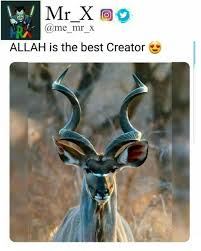 Pin By Itsmrx On Funny Funny Memes Memes Top Memes