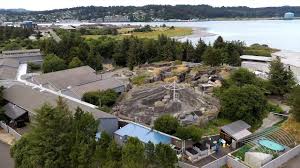 When most people think of animals that use tools they picture primates, but many other creatures in the animal kingdom use them too! Oregon Coast Aquarium Announces 18 2 Million Capital Campaign Youtube