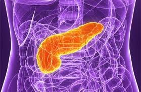 5 Conselhos Para Cuidar Do Pancreas Pancreas Causes Of Diabetes Take Care Of Yourself