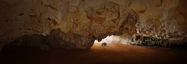 Remarquable par son art, la grotte chauvet l'est aussi pour toutes les techniques qui y furent utilisées et souvent associées. L Ours Des Cavernes Le Veritable Hote De La Grotte Chauvet La Grotte Chauvet Patrimoine Mondial De L Unesco Google Arts Culture