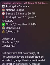 Benjamin Leander (@LeandinhoDK)