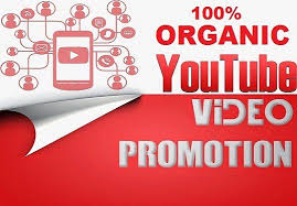 Roughly 1,000 views a day. I Will Do Organic Youtube Video Promotion Promotional Video Music Promotion Youtube Marketing