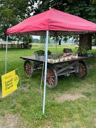 Image result for tbn:0PJB32OL7JwfOM::farm4.static.flickr.com/3324/3329876139_f2d551139f.jpg