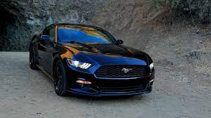2015 Ford Mustang Coupe Muscle Wallpaper 4096x2304 464912 Wallpaperup