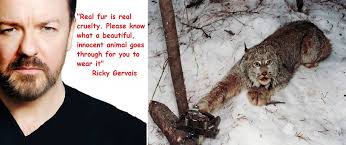 Joel Flack (@Joel_Flack)