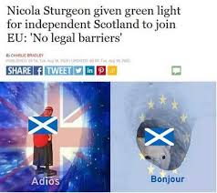 What languages do they speak? The Best Scotland Memes Memedroid