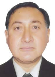 Ingresos de Otorongos Elecciones 2022