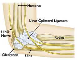 Primary restraint to varus and external stress during full arc of elbow motion. Ucl Injuries Of The Elbow Cincinnati Elbow Ucl Injuries Dayton Oh