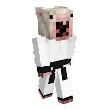Meme skins is a skin pack that has some really strange and funny skins that you could use to 6. Meme Minecraft Skins Namemc