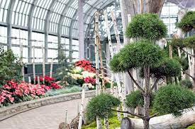 The 13 Best Indoor Activities In Chicago Chicago Activities Chicago Fun Indoor Activities