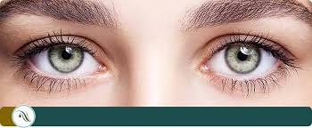Find eye doctors conveniently located near you. Eye Care Clinic Near Me In Wesley Chapel Fl Rejuvamed
