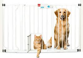 My Dog Won T Leave Me Alone How To Manage An Attention Seeking Dog In 2020 Pet Gate Dog Gate Tall Pet Gate