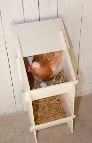 pin auf chickenlove
