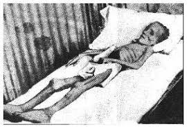 Image result for lilly anglo boer war