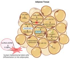 Image result for Chrome Yellow 1956 Twin Cities Milk Producers Association