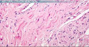 Each cell consists of the following parts (see figure 1) Nervous Tissue Definition Function Types Biology Class 2021 Video Study Com
