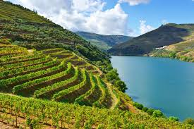 Vinho Verde - Re-visiting Portugal's most famous white wine region – The  Good Wine Shop