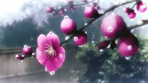 Over 40,000+ cool wallpapers to choose from. Chill Gifs Wifflegif