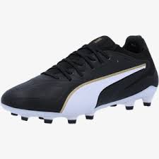 Image result for Puma 20