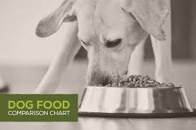 Dog Food Comparison Chart Infographic