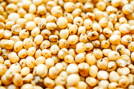 Image result for Sorghum