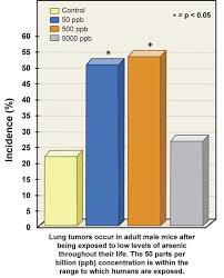 It causes about 90 percent of lung cancer cases. Low Doses Of Arsenic Cause Cancer In Male Mice National Institutes Of Health Nih