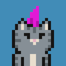 Cloe The Nft Crypto Cat In 2021 Pixel Art Zoo Punk