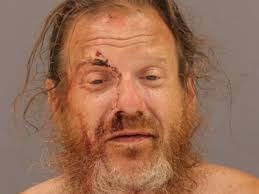 Police fired shots as convenience store assault suspect rammed squad car