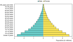 The smallest population in the world can be found in vatican city, where only 801 people reside. Population Pyramid Angola 2017 Source The World Bank Download Scientific Diagram