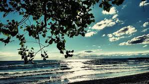 Prince edward county is located in the commonwealth of virginia. Prince Edward County 2021 Best Of Prince Edward County Ontario Tourism Tripadvisor