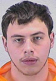 Slain Aurora teen hit 7 times with hammer, reports show