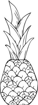 Hand drawn vector isolated illustration on white background. 50 Pineapple Coloring Page Ideas Coloring Pages Online Coloring Pages Online Coloring