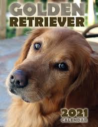 Golden Retriever 2021 Calendar Paperback Book Ends Winchester