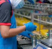 Worker working in canned food factory. Food industry. Canned ...