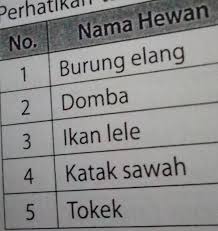 Jun 05, 2021 · apa itu kreatifitas. Hwewan Yg Berkembang Biak Secara Ovipar Adalah Nomor Brainly Co Id