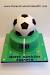 Soccer Ball Cake Design