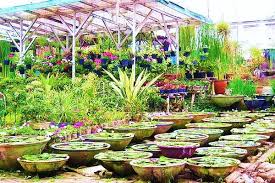 Find and follow posts tagged taman bunga on tumblr. Profil Taman Bunga Cihideung Bandung