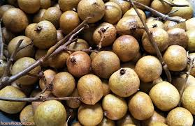 Warna kulit buah longan lebih cerah. Buah Longan Lebih Sedap Dari Mata Kucing