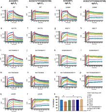 The structural analysis of rbd mutations l452r and e484q along with p681r in. 7vhgvicasapkfm