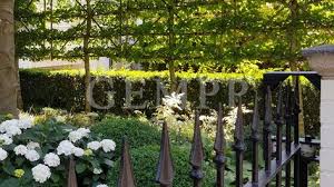 Elegante Vorgartengestaltung Moderne Gartengestaltung Stadtvilla Hamburg Vorgartengestaltung Gartengestaltung Und Garten Design